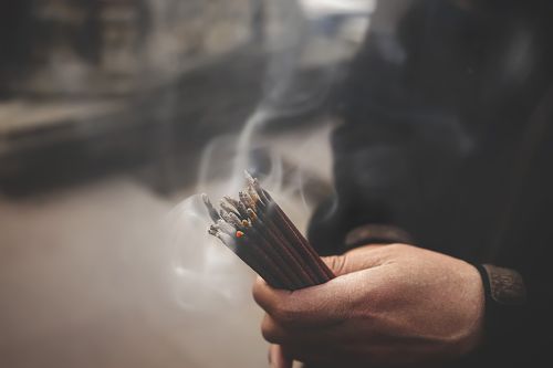 ▲2026丙午馬年4生肖「馬、鼠、牛、兔」犯太歲依舊能參加普渡，只要心存正念就能逢凶化吉。（圖／取自pixabay）