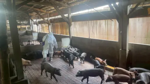 ▲新北動保處隨即派員採樣送驗並特邀嘉義大學獸醫學院老師郭鴻志前往現場會診,成功找出致病源頭並控制疫情。(圖/新北動保處) ▲新北動保處隨即派員採樣送驗並特邀嘉義大學獸醫學院老師郭鴻志前往現場會診,成功找出致病源頭並控制疫情。(圖/新北動保處)